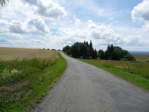 Foto 42